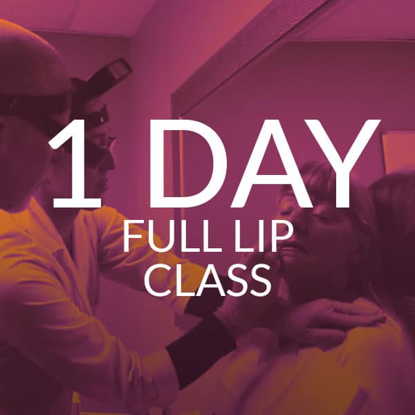 Huntington Academy - 1 Day Full Lip Class